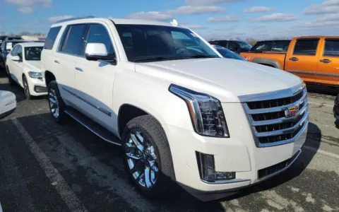 Photos of 2018 Cadillac Escalade Luxury for sale in Fredericksburg, VA at Sullivan Auto Trading Fredericksburg