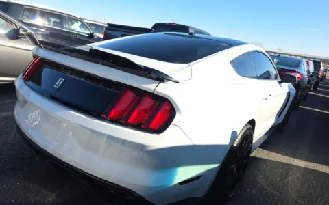 More photos of 2017 Ford Mustang Shelby GT350 at Sullivan Auto Trading Fredericksburg, VA