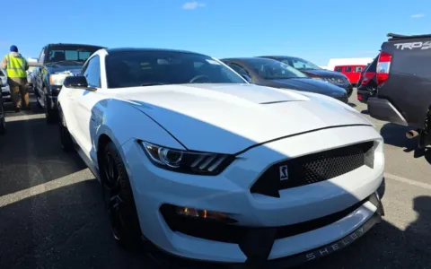 Another view of 2017 Ford Mustang Shelby GT350 for sale in Fredericksburg, VA at Sullivan Auto Trading Fredericksburg
