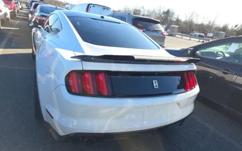 More photos of 2017 Ford Mustang Shelby GT350 at Sullivan Auto Trading Fredericksburg, VA