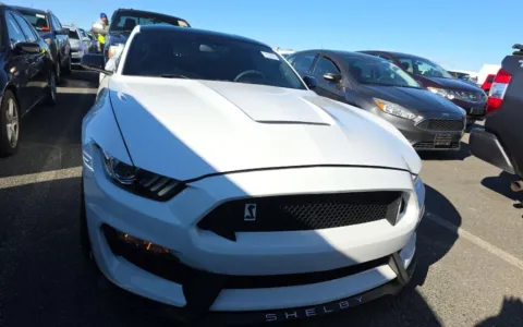 Photos of 2017 Ford Mustang Shelby GT350 for sale in Fredericksburg, VA at Sullivan Auto Trading Fredericksburg