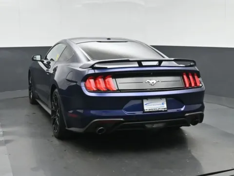 More photos of 2019 Ford Mustang EcoBoost Premium at Sullivan Auto Trading Fredericksburg, VA