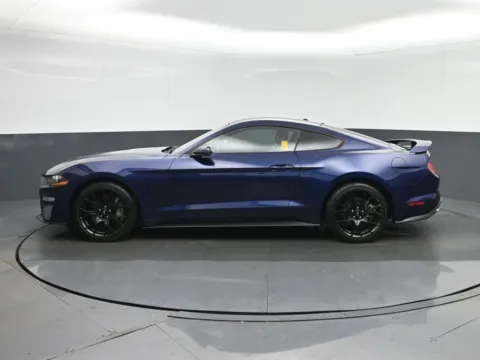 More photos of 2019 Ford Mustang EcoBoost Premium at Sullivan Auto Trading Fredericksburg, VA