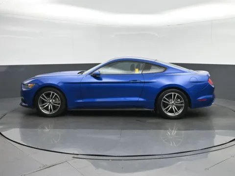 More photos of 2017 Ford Mustang EcoBoost at Sullivan Auto Trading Fredericksburg, VA