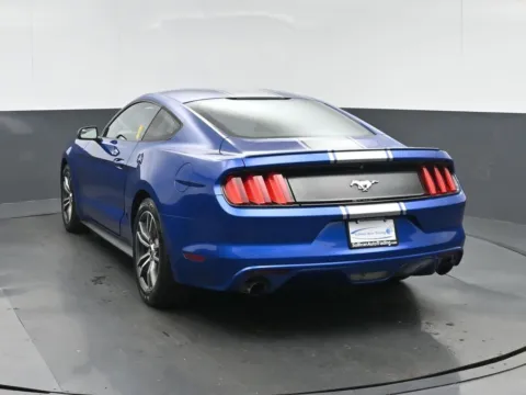 More photos of 2017 Ford Mustang EcoBoost at Sullivan Auto Trading Fredericksburg, VA