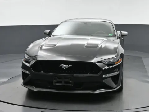 Photos of 2019 Ford Mustang GT for sale in Fredericksburg, VA at Sullivan Auto Trading Fredericksburg