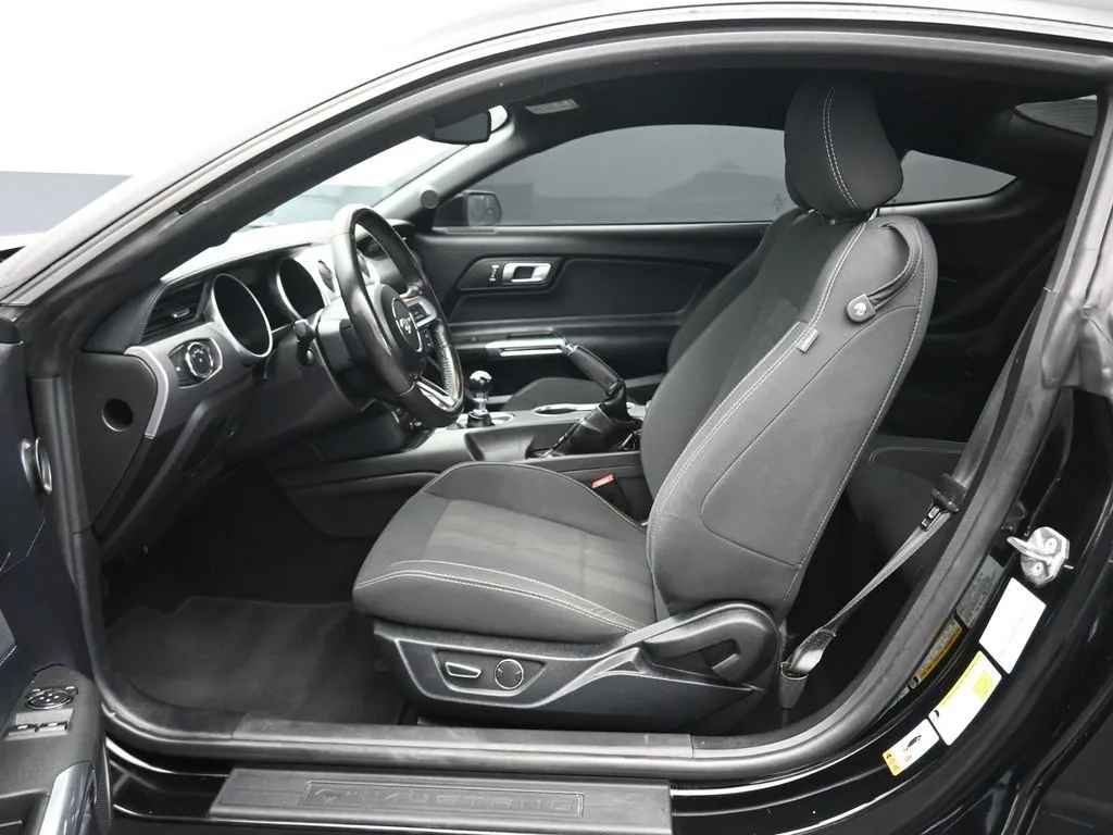 2019 Ford Mustang GT photo 4