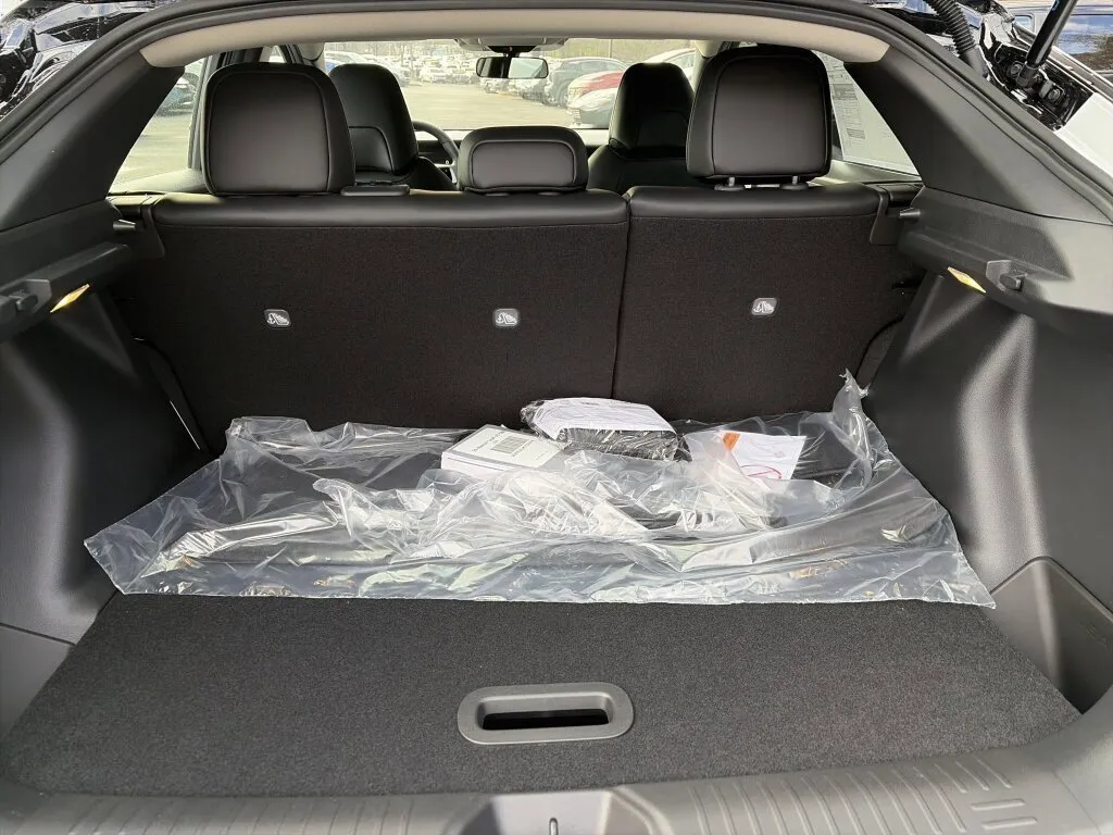 2026 Nissan LEAF SV+ - Photo 6