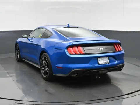 More photos of 2020 Ford Mustang EcoBoost at Sullivan Auto Trading Norfolk, VA