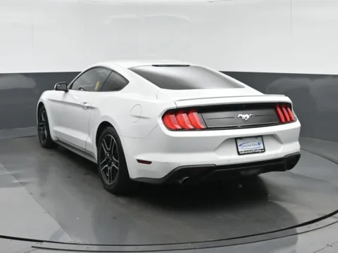 More photos of 2018 Ford Mustang EcoBoost at Sullivan Auto Trading Norfolk, VA