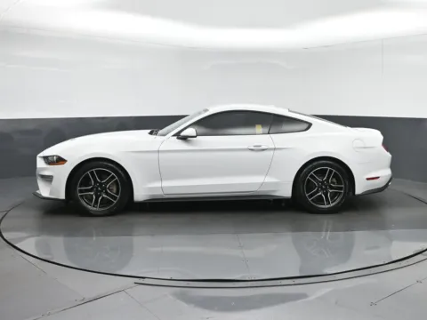 More photos of 2018 Ford Mustang EcoBoost at Sullivan Auto Trading Norfolk, VA