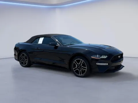 Black 2020 Ford Mustang EcoBoost Premium for sale in Alcoa, TN