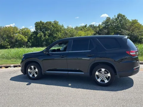 Another view of 2025 Honda Pilot EX-L for sale in Alcoa, TN at Airport Honda