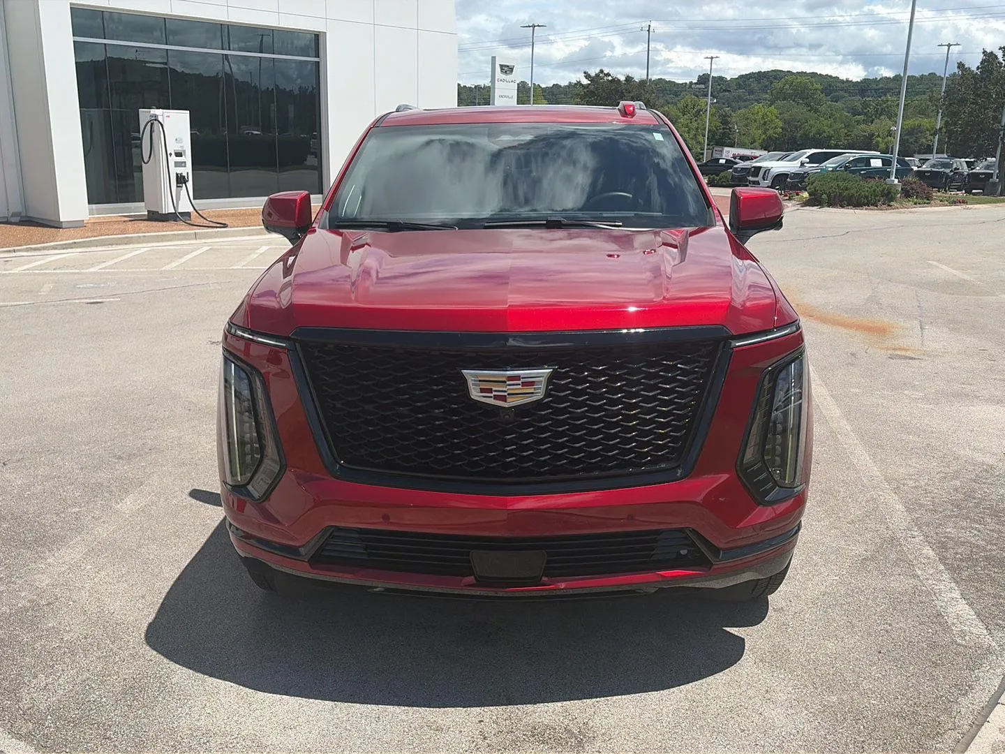 Red 2025 Cadillac Escalade 4WD Sport Platinum for sale in Knoxville, TN