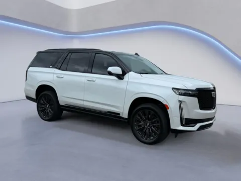White 2024 Cadillac Escalade 4WD Sport Platinum for sale in Knoxville, TN