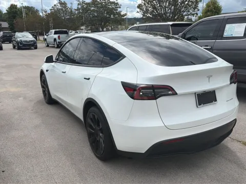 More photos of 2023 TESLA Y at Cadillac of Knoxville, TN