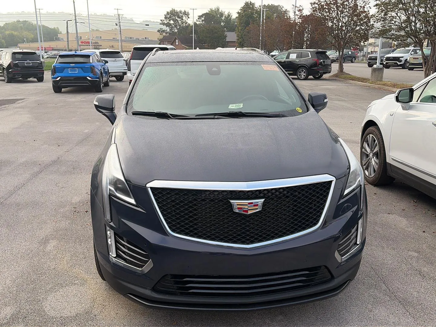 Blue 2024 Cadillac XT5 AWD Sport for sale in Knoxville, TN