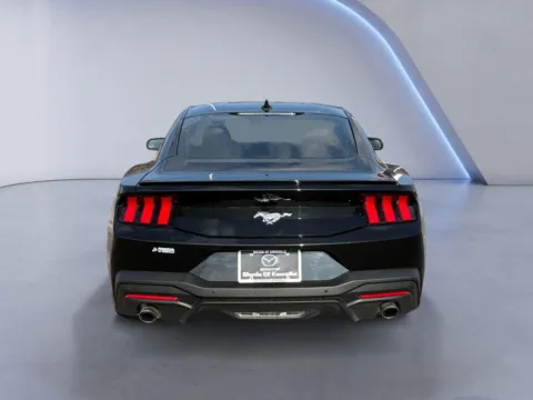 More photos of 2025 Ford Mustang EcoBoost Premium at Mazda of Knoxville, TN