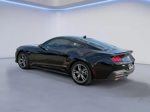 More photos of 2025 Ford Mustang EcoBoost Premium at Mazda of Knoxville, TN