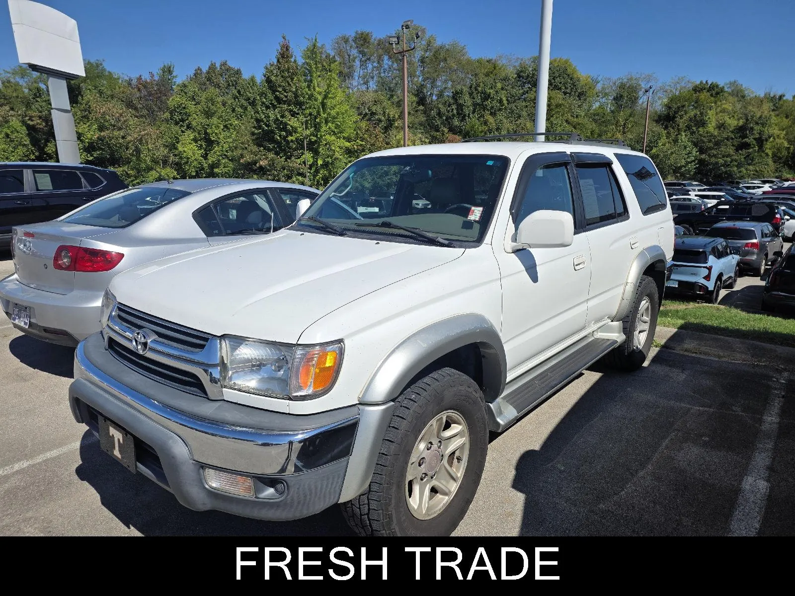 White 2001 Toyota 4Runner SR5 for sale in Knoxville, TN
