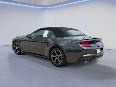 More photos of 2024 Ford Mustang EcoBoost Premium at Twin City Certified, TN