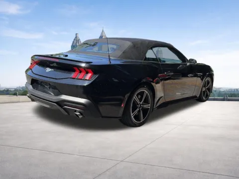 More photos of 2024 Ford Mustang EcoBoost Premium at Nissan of Lithia Springs, GA
