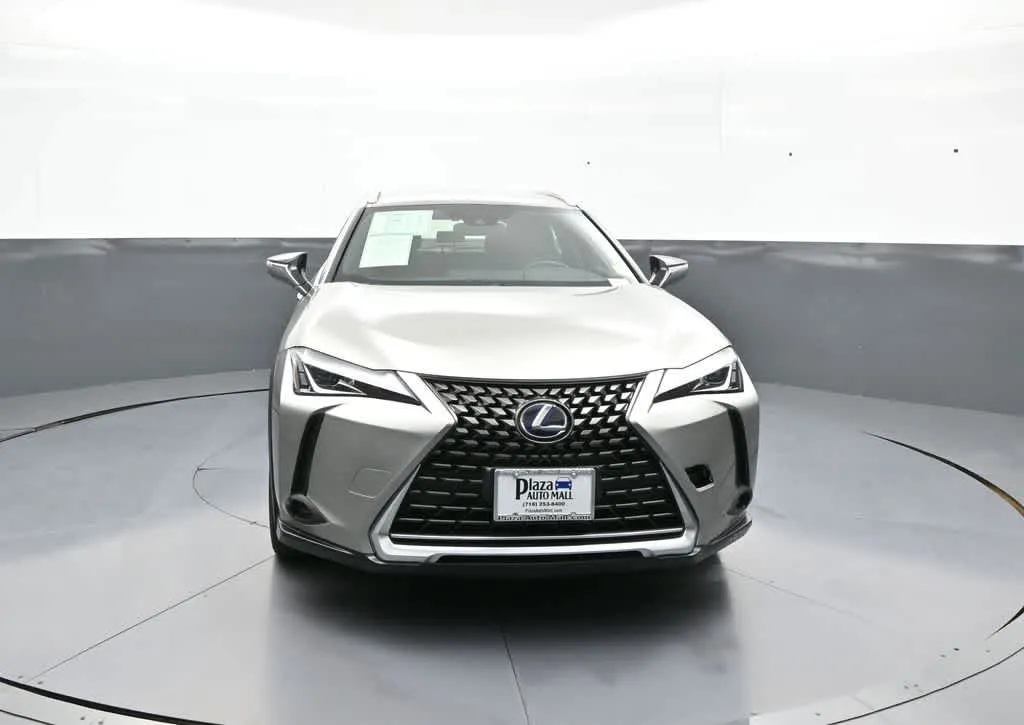 2020 Lexus UX Hybrid