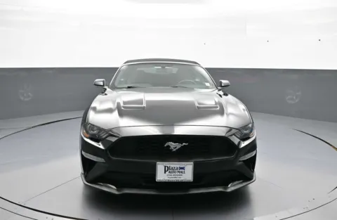 Photos of 2019 Ford Mustang EcoBoost for sale in Brooklyn, NY at Plaza Honda