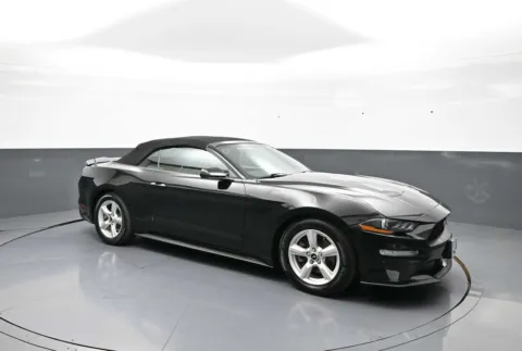 More photos of 2019 Ford Mustang EcoBoost at Plaza Honda, NY