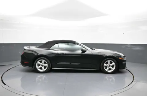 More photos of 2019 Ford Mustang EcoBoost at Plaza Honda, NY