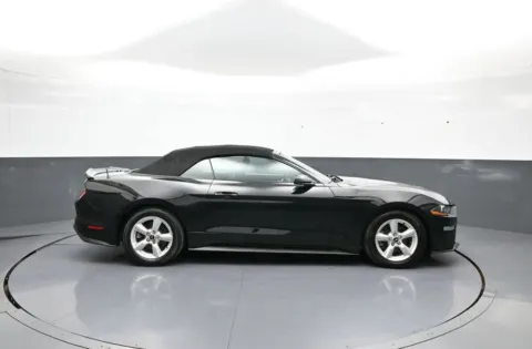 More photos of 2019 Ford Mustang EcoBoost at Plaza Honda, NY