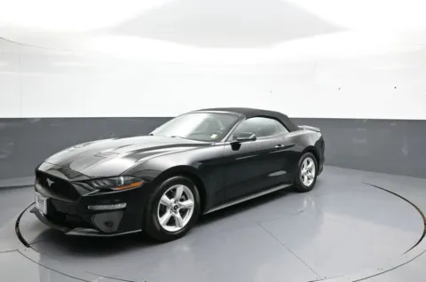 Black 2019 Ford Mustang EcoBoost for sale in Brooklyn, NY