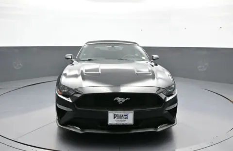 Photos of 2019 Ford Mustang EcoBoost for sale in Brooklyn, NY at Plaza Honda
