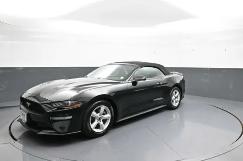 Black 2019 Ford Mustang EcoBoost for sale in Brooklyn, NY
