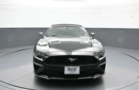 Photos of 2019 Ford Mustang EcoBoost for sale in Brooklyn, NY at Acura of Brooklyn