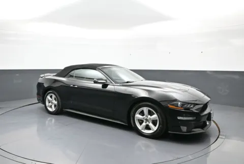 More photos of 2019 Ford Mustang EcoBoost at Acura of Brooklyn, NY