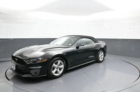 Black 2019 Ford Mustang EcoBoost for sale in Brooklyn, NY