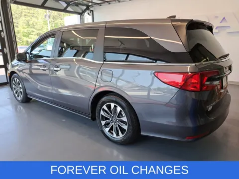 More photos of 2024 Honda Odyssey EX-L at First Team Honda, VA