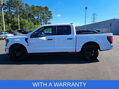 Another view of 2024 Ford F-150 STX for sale in Chesapeake, VA at First Team Honda