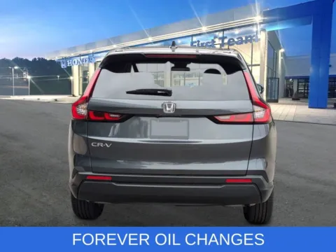 More photos of 2026 Honda CR-V EX at First Team Honda, VA