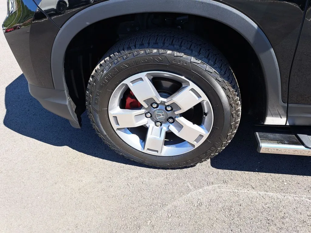 Photo 41
