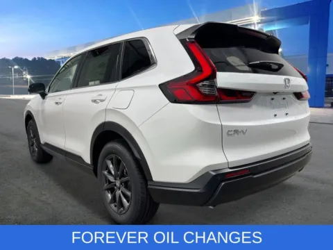 More photos of 2026 Honda CR-V EX-L at First Team Honda, VA