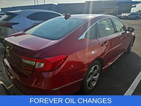 More photos of 2019 Honda Accord EX-L at First Team Honda, VA