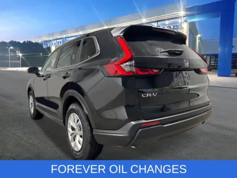 More photos of 2026 Honda CR-V LX at First Team Honda, VA
