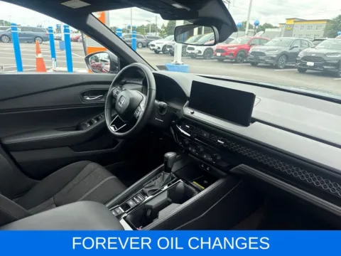 More photos of 2025 Honda Accord Hybrid Sport at First Team Honda, VA