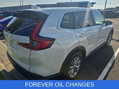 More photos of 2025 Honda CR-V EX-L at First Team Honda, VA