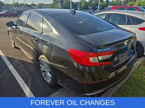 More photos of 2019 Honda Accord LX at First Team Honda, VA