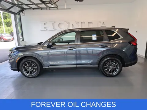 More photos of 2019 Honda CR-V EX-L at First Team Honda, VA