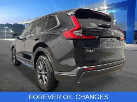 More photos of 2027 Honda CR-V EX-L at First Team Honda, VA