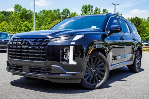 Black 2025 Hyundai Palisade Calligraphy Night Edition for sale in Canton, GA